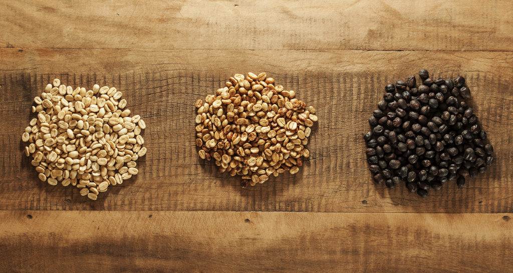 The Stages of Honey Processed Coffees: The dance of fermentation inside the humble coffee bean.